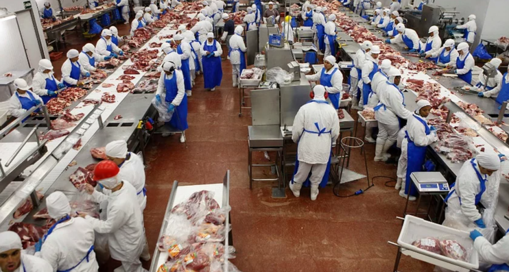 frozen meat exporter team Brazil