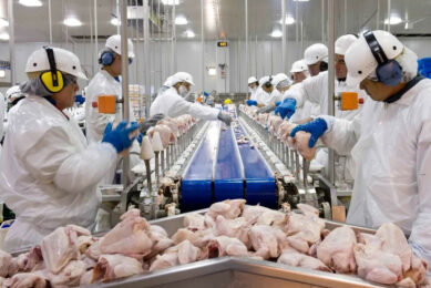 Chicken Wings - Image 3