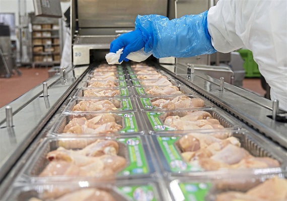 quality-halal-chicken-wings--brazil-poultry-exporters