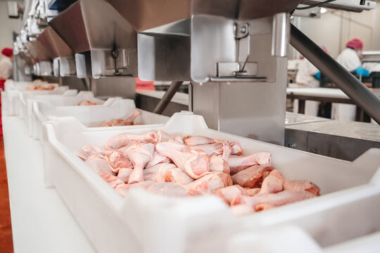 frozen chicken exporter guide 2025