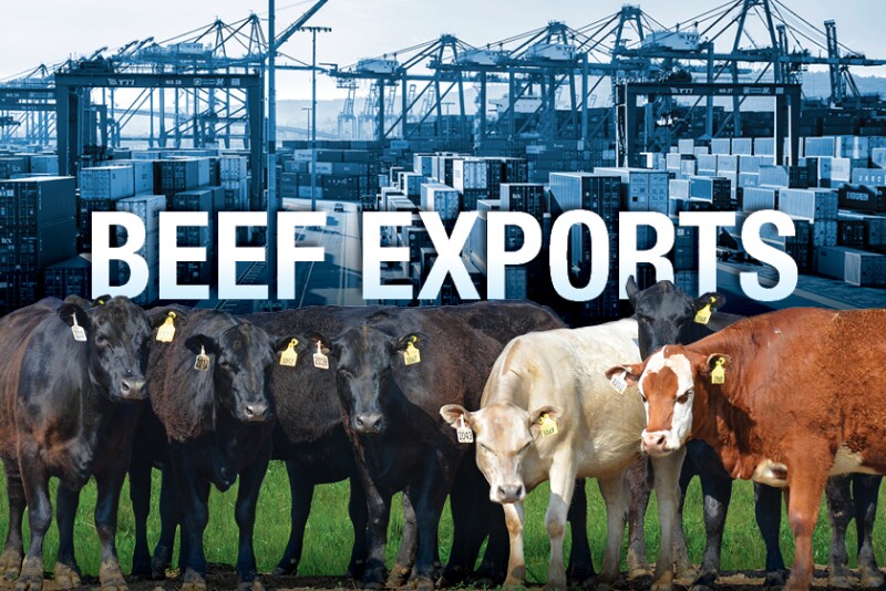 Beef Export Company vs Beef Producer: Strategies & Partnerships