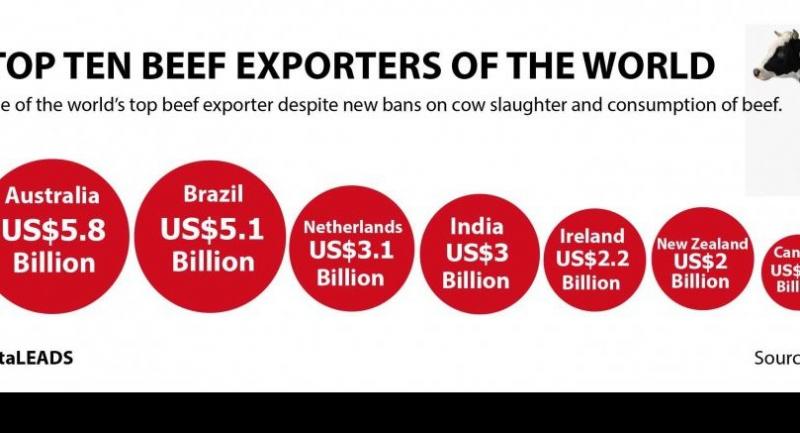 Beef Export Top 10 Country: Statistics & Trends