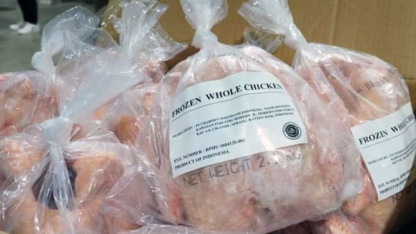 Exporting Chicken Wings: A High-Demand Product for Frozen Chicken Exporter