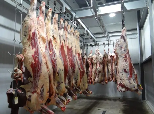 Fresh vs Frozen Meat Exports: Pros & Cons