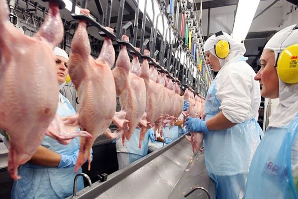 How Brazil Dominates the Frozen Chicken Export Market