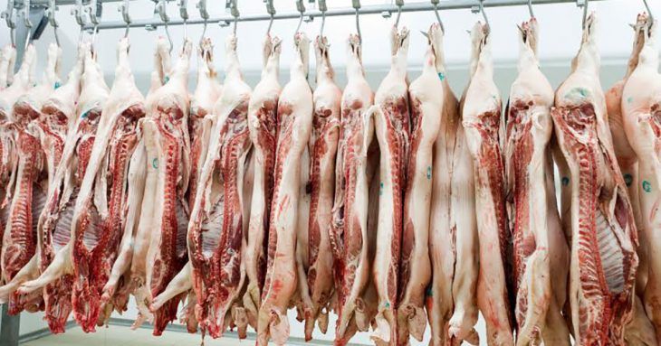 Pork Meat Export: Opportunities & Challenges