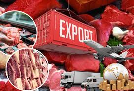 Halal Meat Export Success Stories