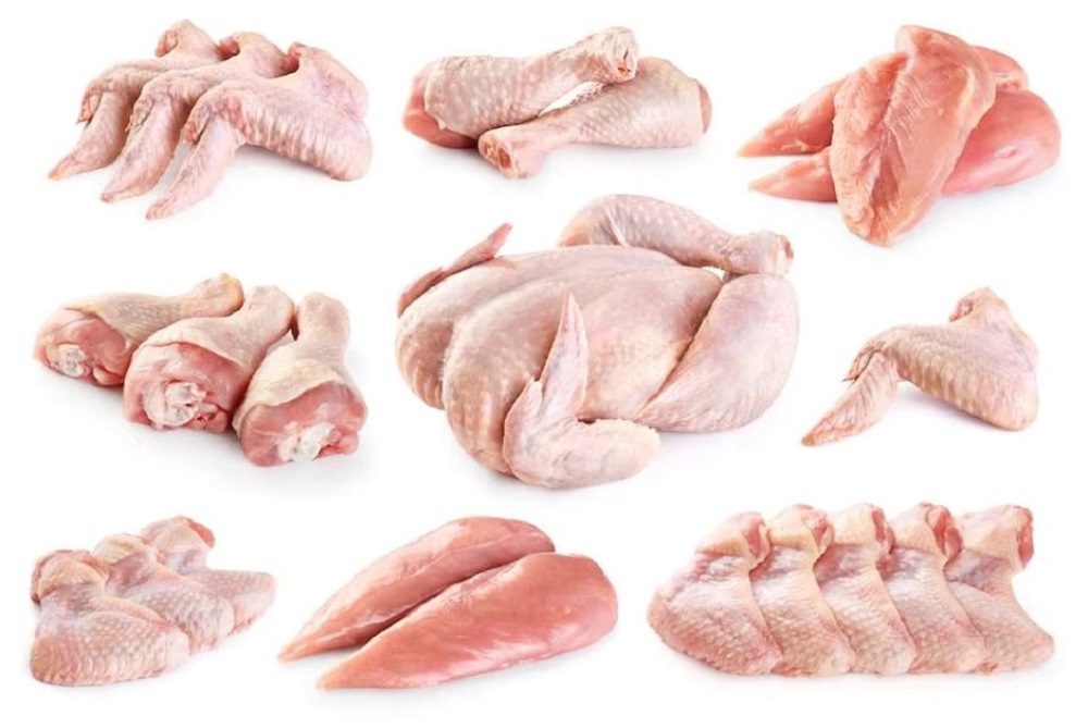 Halal Frozen Chicken Exporter from Brazil
