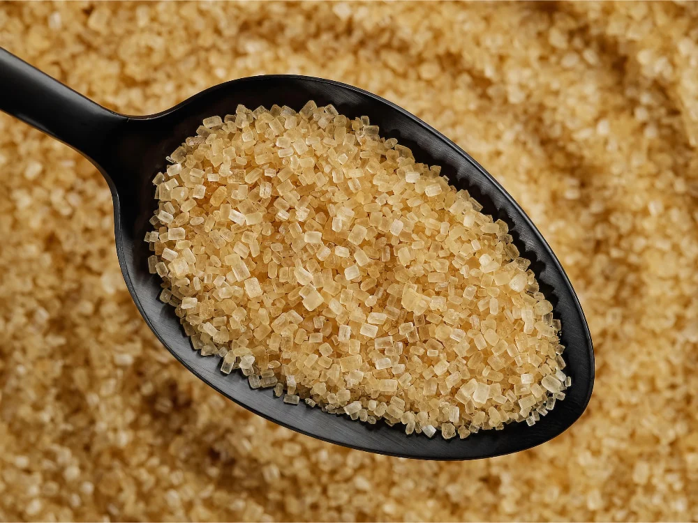 sugar export logistics Brazil